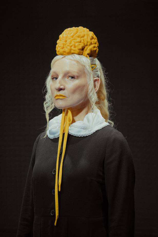 APBRĪNAS IELEJA - PAPILDIZRADES 10.02. un 11.02.