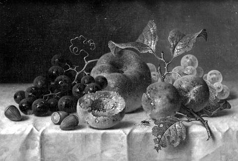 GOGOLIS. NATURE MORTE